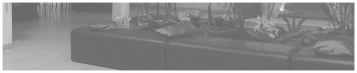 Banner de Apresentao